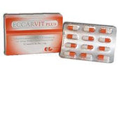 Eccarvit Plus 12 Cpsulas-1