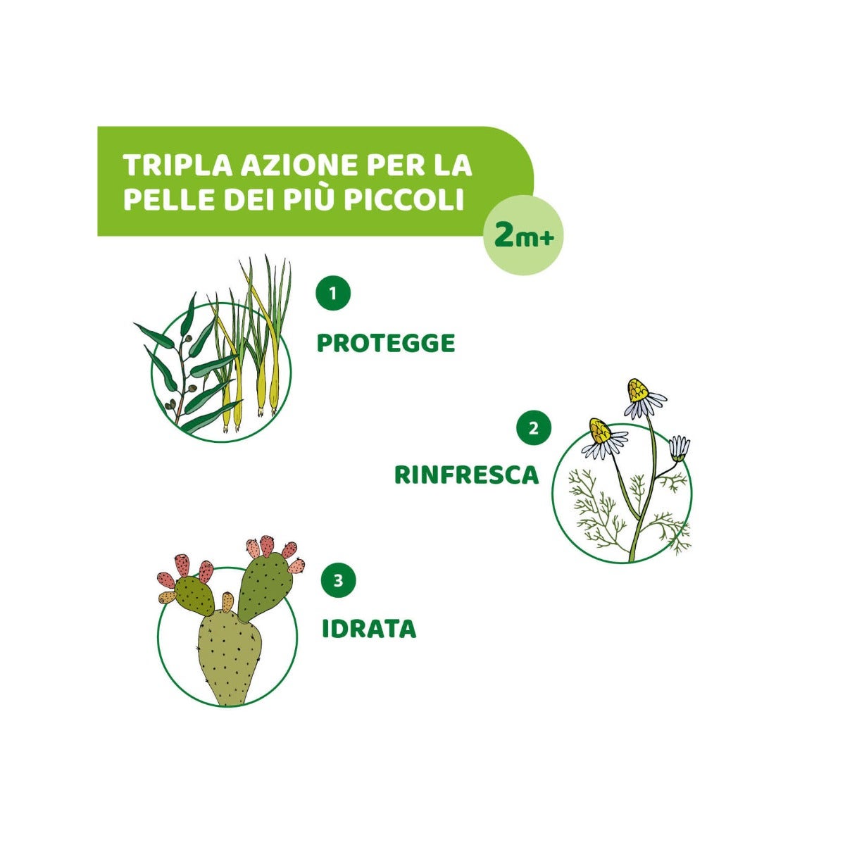 Chicco Toallitas Antimosquitos Protectoras y Refrescantes 20 unidades 2 años+