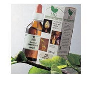 AVELLANA 100ML MG-1