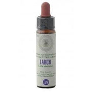 FLORES DE BACH 19 ALERCE GTT-1