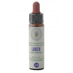 FLORES DE BACH 19 ALERCE GTT-1