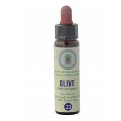 Flores de Bach 33 Gotas 10ml Aceitunas-1