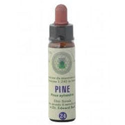 Flores de Bach 24 Gotas 10ml Pino-1
