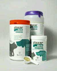 Glazarderm Alimento Complementario Perros/Gatos 150gr-1