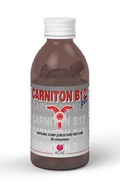 Carniton B12 Mascotas Perros / Gatos 80 Comprimidos 80g-1