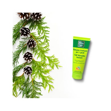 Allgasan Bálsamo Para Pies 100ml-2