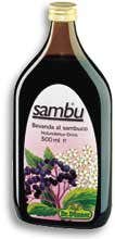 Dunner Bebida de Saúco 500ml-1