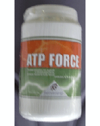 ATP FORCE POLVO DE MELOCOTON 300G-1