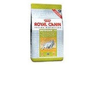 Royal Canin Active Life Outdoor Pienso Seco para Gatos Adultos 400g-1