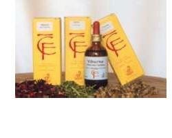 ARÁNDANOS RO GIOV OBTENER 100ML MG-1