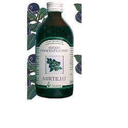Zumo de arándanos 200ml-1