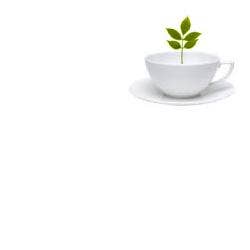 TISACELL MISC HIERBAS 100G TT-1