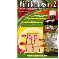 DR POCK ARÁNDANO 2 500ML-1