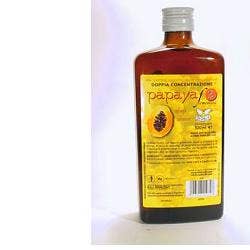 DR POCK PAPAYA 2 JUGO 500ML-1