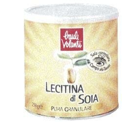 LECITINA DE SOJA 250G-1