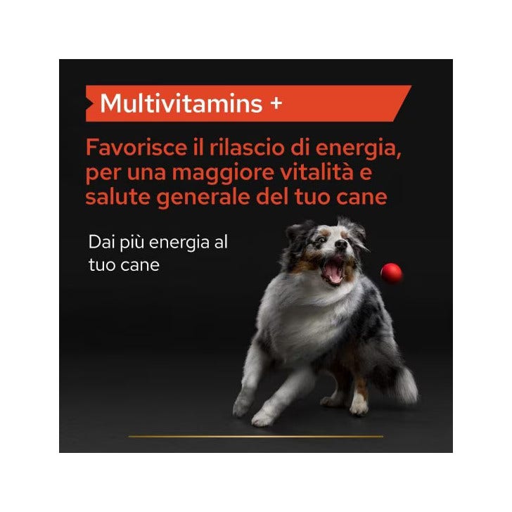 Purina Pro Plan Dog Supplement Multivitamins+ Alimento complementario para perros 67 g