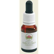 Wedding Bush Aceite esencial australiano 15ml-1