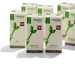 Fitomedical Macerado Glicérico Carpe 200ml-1