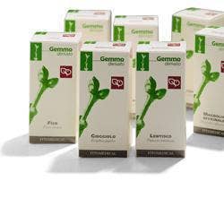 CISTO 200ML MG-1