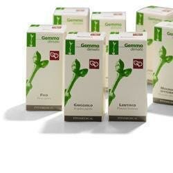 KIWI 200ML MG-1