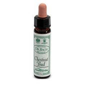 AINSWORTHS BROTE DE CASTAÑA 10ML-1