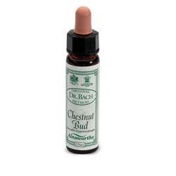 AINSWORTHS BROTE DE CASTAÑA 10ML-1