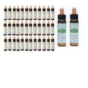 AINSWORTHS FLOR REMEDIO SET40-1