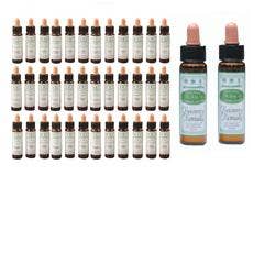 AINSWORTHS FLOR REMEDIO SET40-1