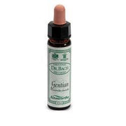 AINSWORTHS GENCIANA 10ML-1