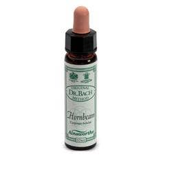 AINSWORTHS HORNBEAM 10ML-1