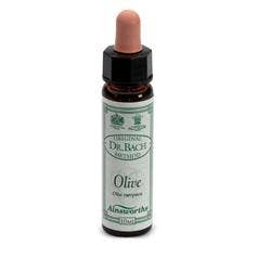ACEITUNAS AINSWORTHS 10ML-1