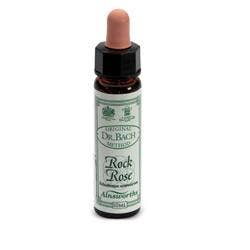 AINSWORTHS ROSA DE ROCA 10ML-1