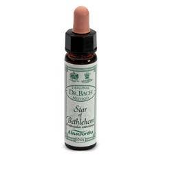 Ainsworths n° 29 Estrella de Belén Dr. Bach 10ml-1