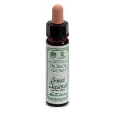 AINSWORTHS CASTAÑA DULCE 10ML-1