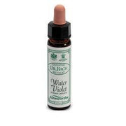 AINSWORTHS AGUA VIOLETA 10ML-1