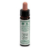 AINSWORTHS ROSA SALVAJE 10ML-1