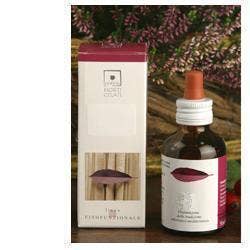PLATANUS ORIENT 50ML STV-1