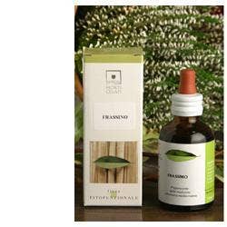 OLIVO ECOLÓGICO 50ML STV-1