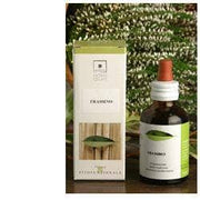 DIENTE DE LEON BIO 50ML STV-1