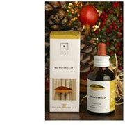 JENGIBRE 50ML STV-1