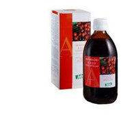 Concentrado de Arndano 490ml-1