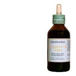 TIERRA AMARILLA SOL IAL 100ML-1