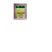 CARGOS FICUS 60CPS-1