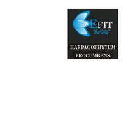 HARPAGOFITO PRO EF 30ML-1