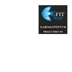 HARPAGOFITO PRO EF 30ML-1