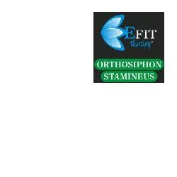 ORTHOSIFHON STAMINEUS EF 30ML-1