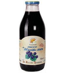 JUGO DE ARÁNDANOS PURO SELV 500ML-1