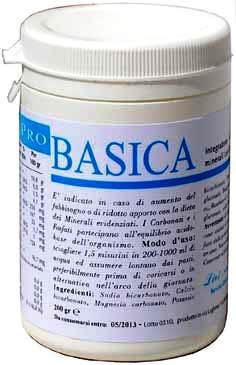 POLVO BÁSICO PRO 200G-1