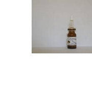 SIDEA SERUM DE UVA CONC-1