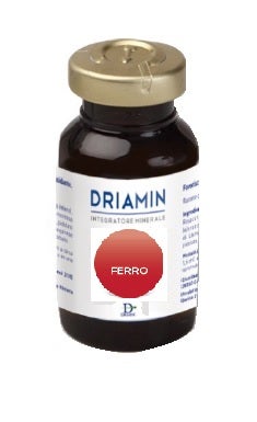 DRIAMIN HIERRO 15ML-1